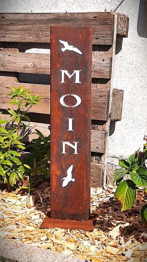 Moin Möwen