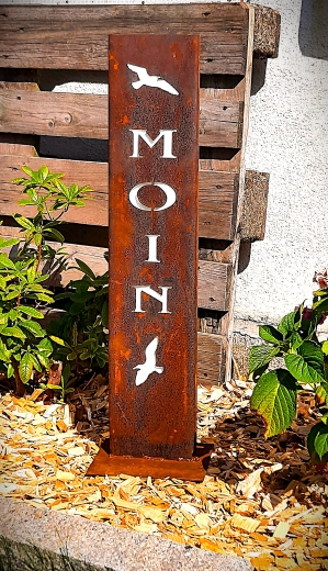Moin Möwen