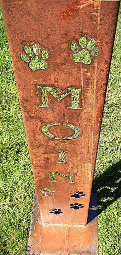 Schild Moin, Umgeben von Pfoten