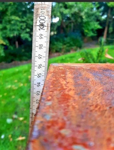 Pyramide Fluggänse Schilf