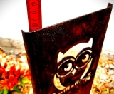 Schild klein Moin Eule