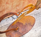 Auf Platte Möwe im Herz