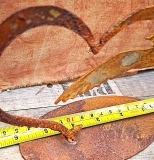 Auf Platte Möwe im Herz