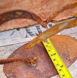 Auf Platte Möwe im Herz