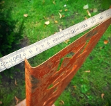 Schild Moin Moin Schmetterling 3D