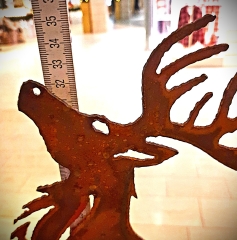 Hirsch